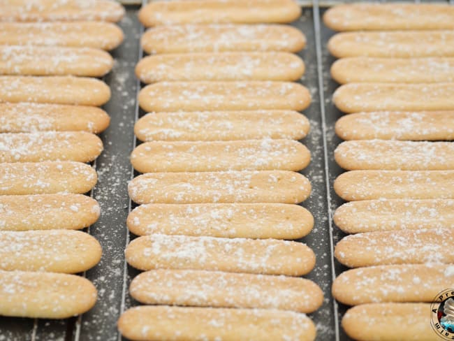 Biscuits à la cuillère, boudoirs