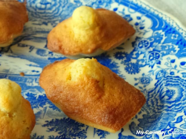 Madeleines à la fleur d'oranger