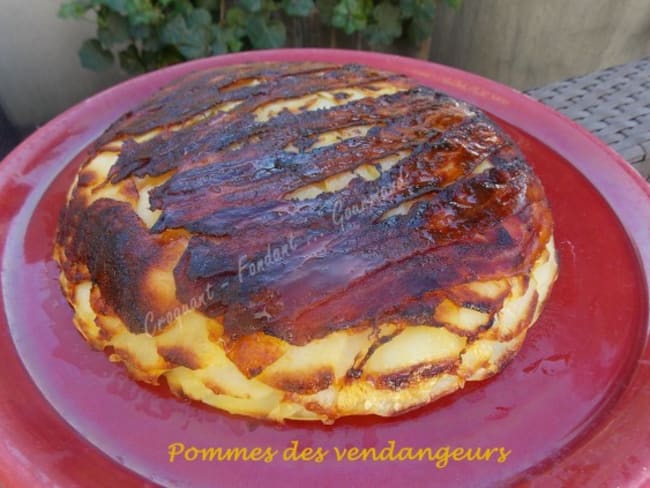 Pommes des vendangeurs