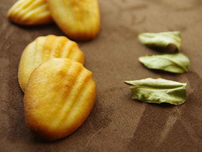 Madeleines au combava