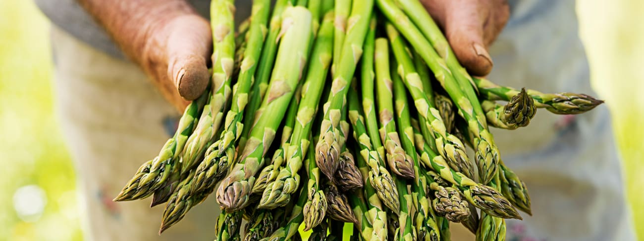 Vive l'asperge, reine du printemps !