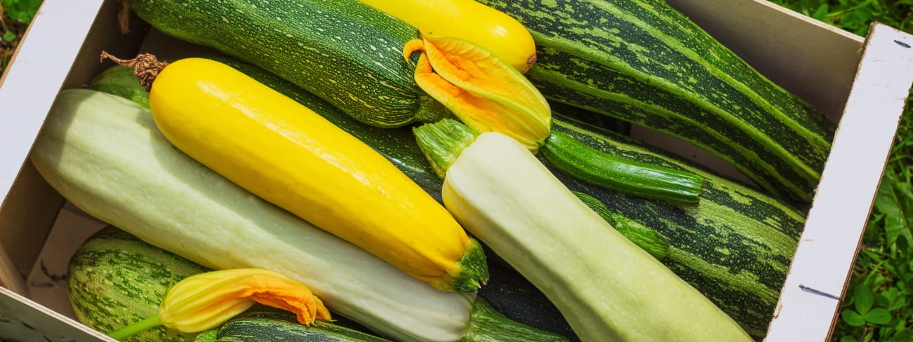 Les courgettes