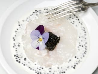 Carpaccio de Saint Jacques et caviar