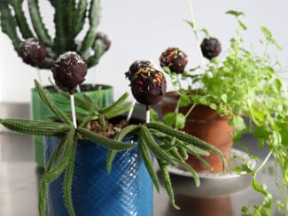 Pop cakes de Pâques