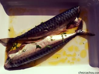 Maquereaux marinés au basilic cuits à la plancha