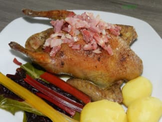 Pigeon cuit aux lardons et servi avec un légume ancien, la blette