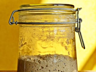 Levain : sa vie d'agité dans le bocal