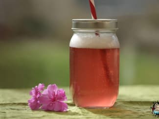 Nos recettes simples, saines et savoureuses de kombucha fait maison