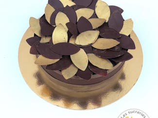 Bûche chocolat-pistache - Recette par Davy