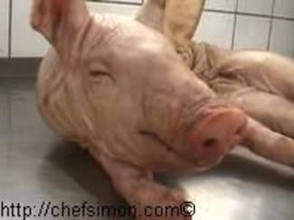 Cochon de lait rôti