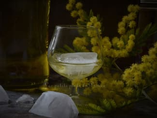 Sirop de fleurs de mimosa