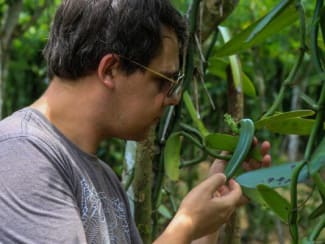 Extrait de vanille maison