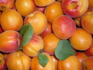 Confiture de Fruits Jaunes BIO (abricots, pêches, mangues, oranges)