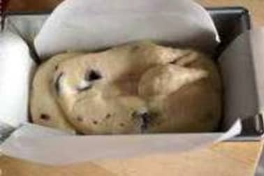 Cassate amarena - Etape 4