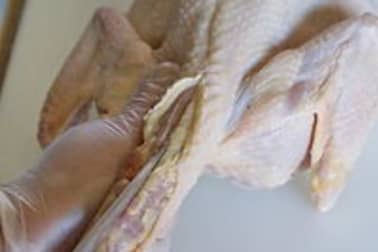 Habiller un chapon - Etape 4