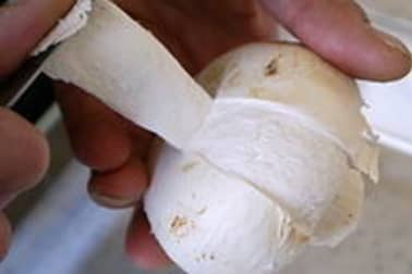 Taille des champignons - Etape 1