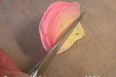 Pétales de rose cristallisés - Etape 3