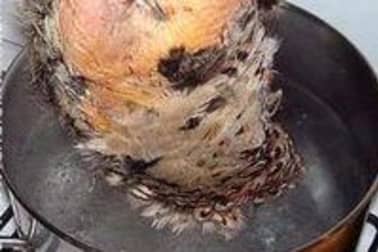 Plumer une poule faisane par immersion - Etape 4