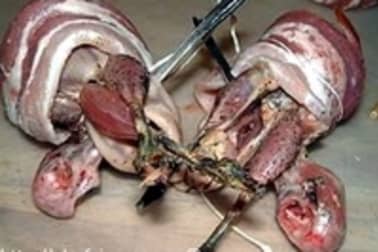 Bécassine rôtie sur pain d'épices - Etape 6