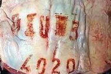 Parer une pièce de viande - Etape 1