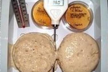 Réaction de la levure en présence de sel ou de sucre - Etape 7