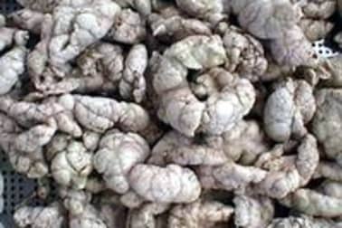 Ris d'agneau braisés - Etape 5