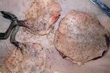 Sarcelle aux airelles sauce porto - Etape 3