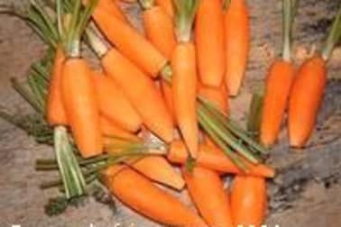 Présenter et cuire des carottes primeur - Etape 3