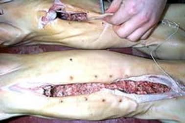 Cochon de lait rôti - Etape 6