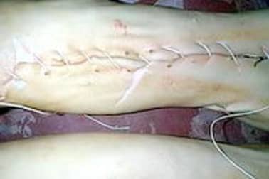 Cochon de lait rôti - Etape 7