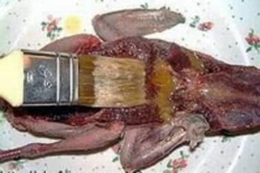 Pigeon en crapaudine - Etape 7