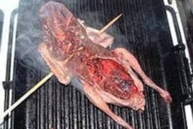 Pigeon en crapaudine - Etape 8