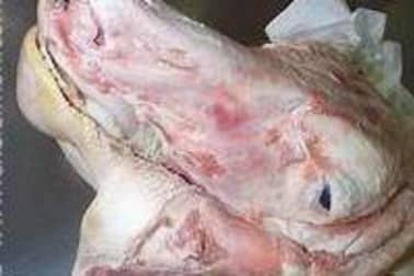 Tête de veau pochée - Etape 4