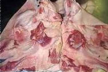 Tête de veau pochée - Etape 6