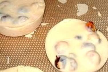 Chocolat blanc à la nougatine - Etape 8