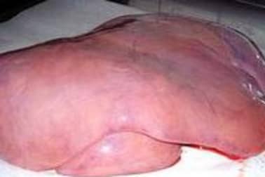 Foie de veau - Etape 1