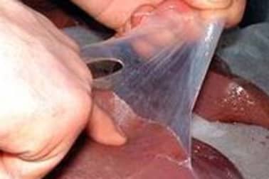 Foie de veau - Etape 3