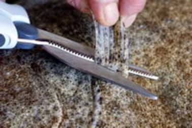 Détailler un turbot en tronçons - Etape 3