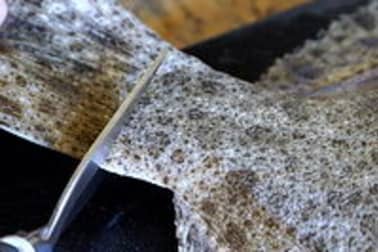 Détailler un turbot en tronçons - Etape 1