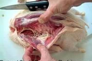 Désosser une canette par le dos - Partie 1 - Etape 4