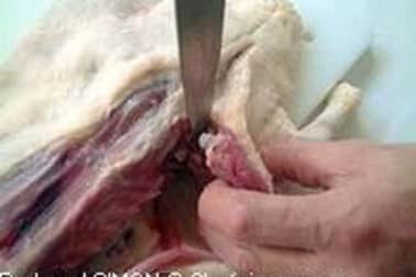 Désosser une canette par le dos - Partie 1 - Etape 6