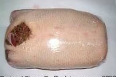 Galantine de canette - Le montage - Etape 9