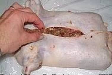 Galantine de canette - Le montage - Etape 6