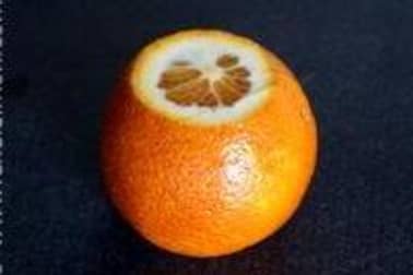 Peler une orange à vif - Etape 3
