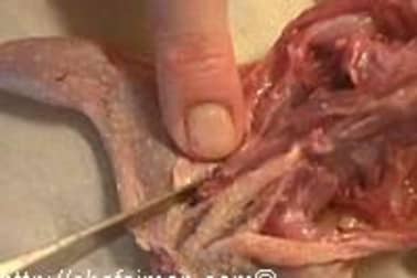 Désosser une caille - Etape 6