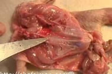 Désosser une caille - Etape 9