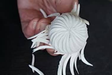 Les champignons tournés - Etape 4