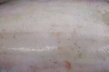 Ecailler une sole - Etape 4