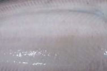 Ecailler une sole - Etape 5