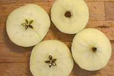 Eplucher et évider une pomme - Etape 9